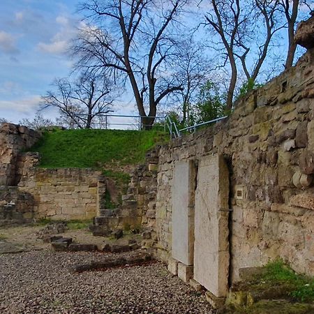 Ferienwohnungen An Der Schlossruine Herbsleben エクステリア 写真